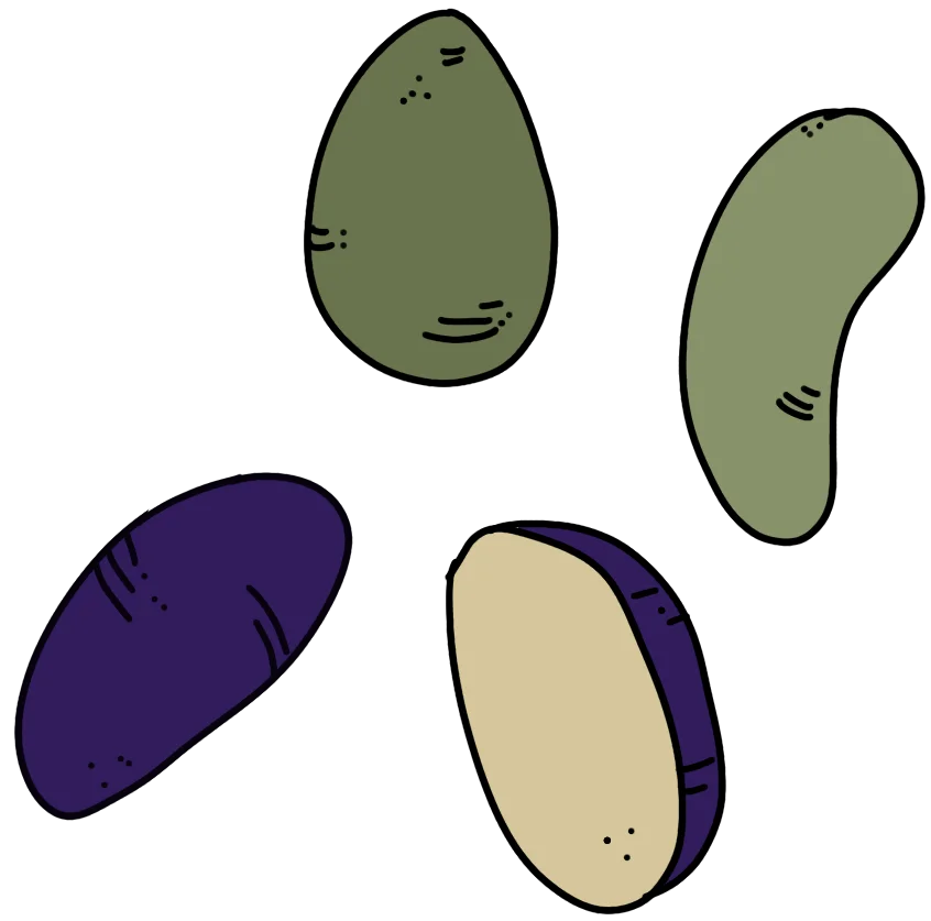 Icon mit grünen und lilanen Kartoffeln